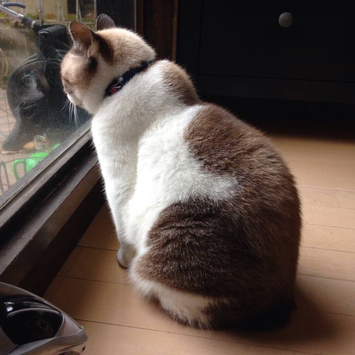 B88289b9 e7bb 4b79 bb85 b5cbf0feb515