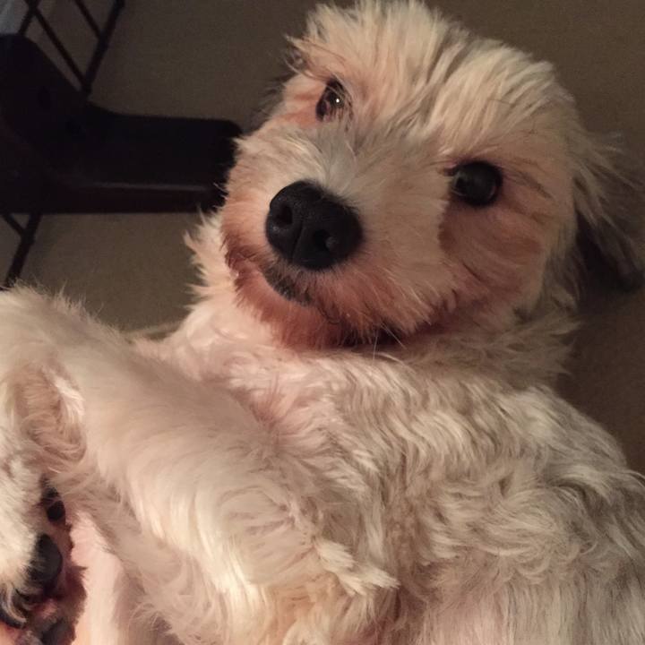 B8832760 421b 4591 819e 20263b182aea