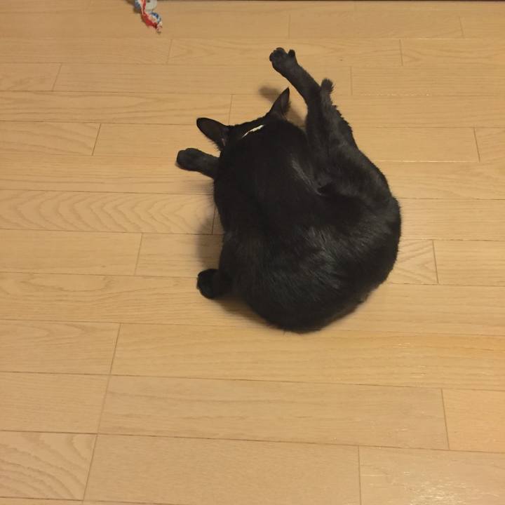 B8834646 e5cc 489a 8077 2ef335a212e9