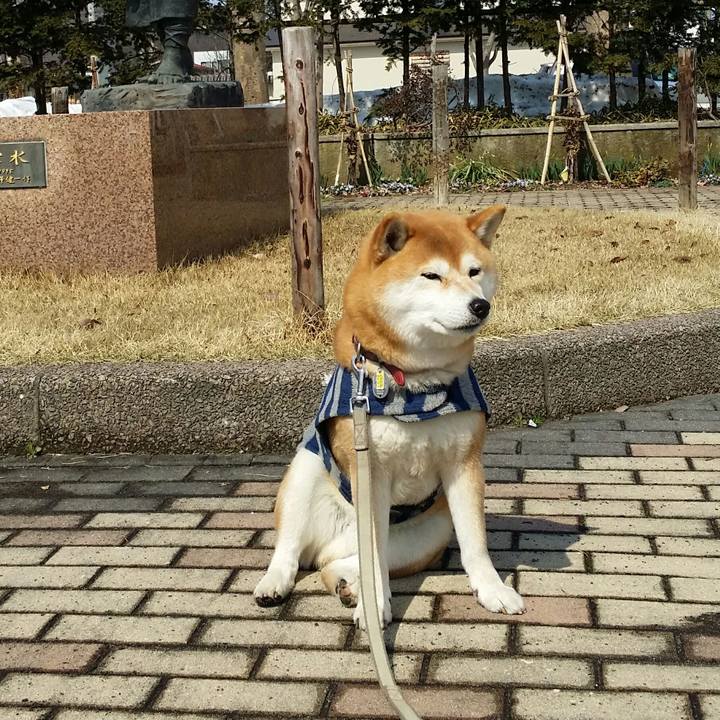 B8840dca 154f 4a4e 9f0b 5b69be326136