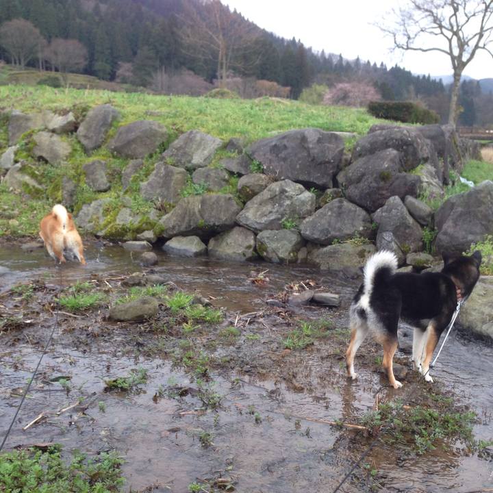 B8843d93 6b91 4f2d b69a fa922f085cae