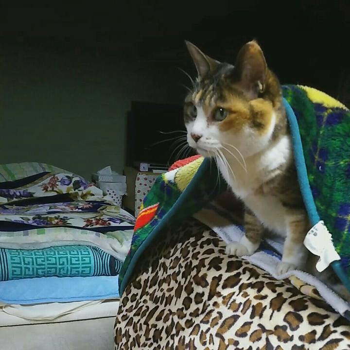 B88462a8 7919 49dd b41c 57579e2d1ffa