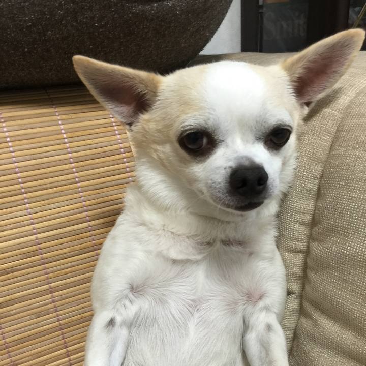 B88538a2 00e5 407b 8d6e 3202cfc26f64