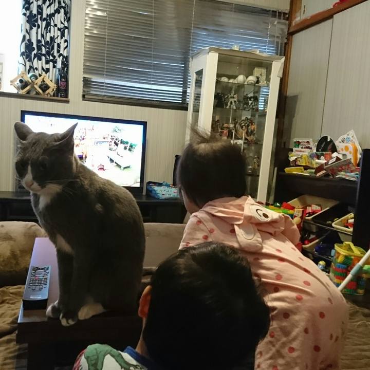 B886084e 90ec 4e05 bf0c 9e8a8af5330d