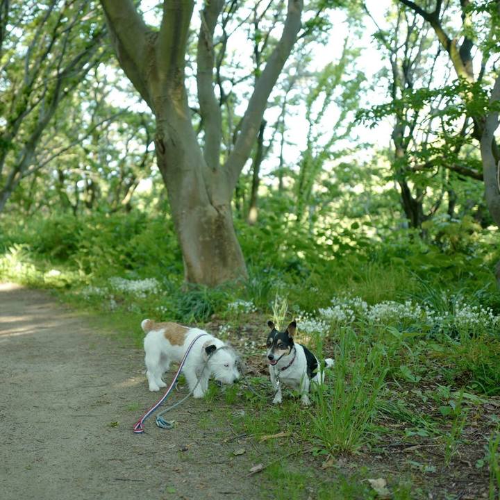 B8860b47 126d 4320 98f4 19d82047deba