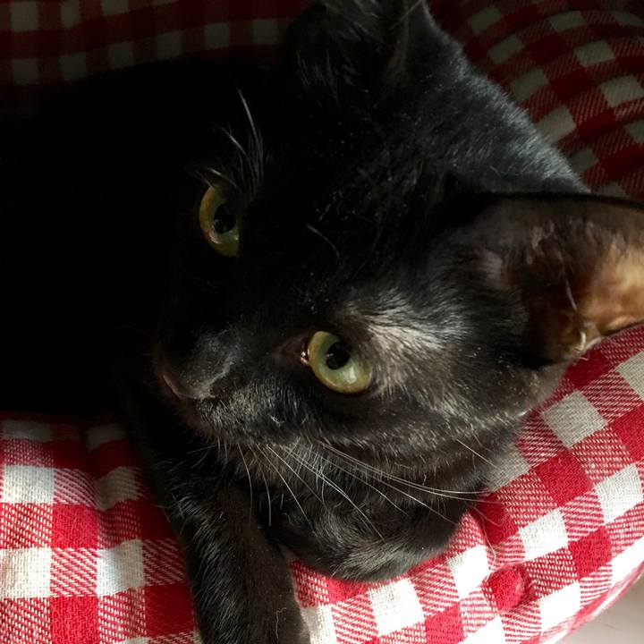 B8860bc4 4315 49e7 9b9b 12acee9636a5