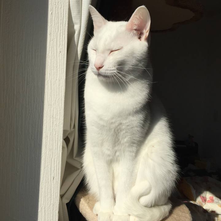 B886c134 ecfd 409c b572 6c778509a91d