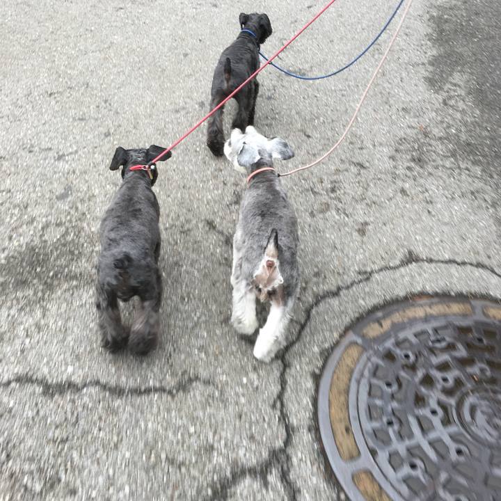 B8875e7d d47b 4009 97aa 6f02fe177ddd