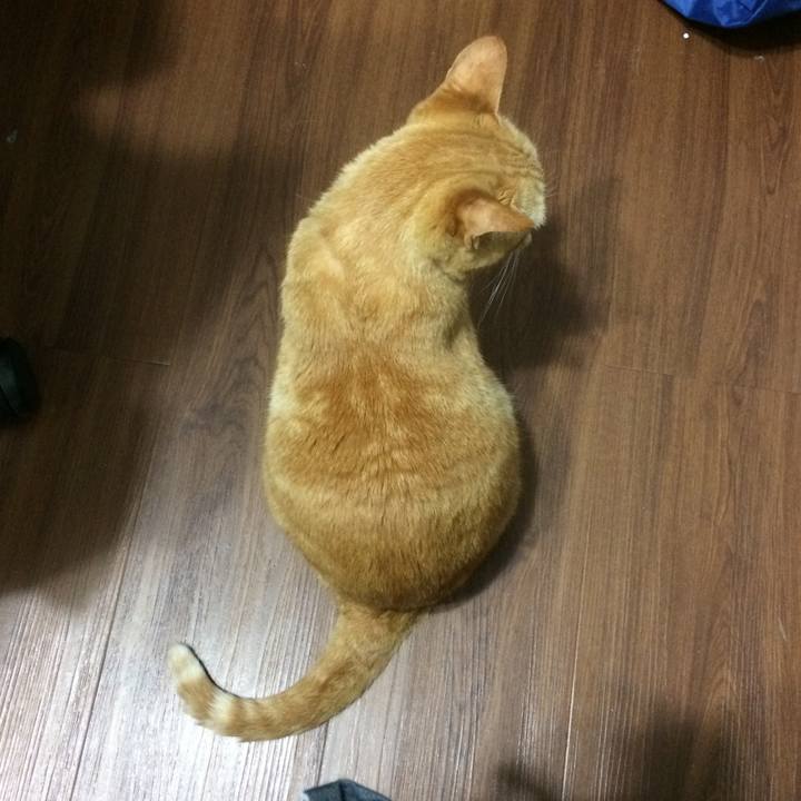 B88811e7 99fe 4dd3 94ee 4df0e405b1da