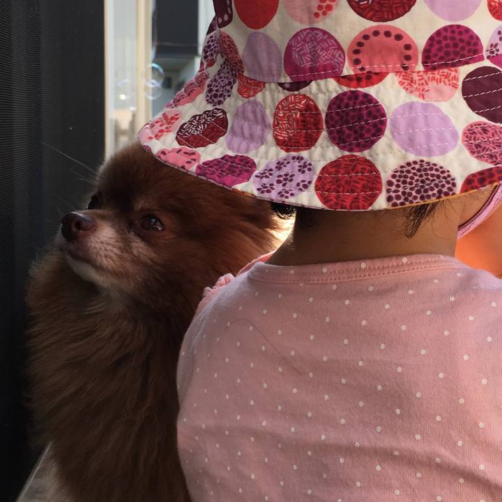 B8887ee3 7824 46fa a576 75577ff12f34