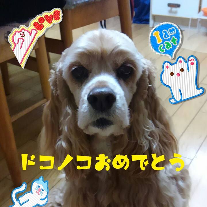 B888941a 659d 4e51 9f2a 741b92ca2da7