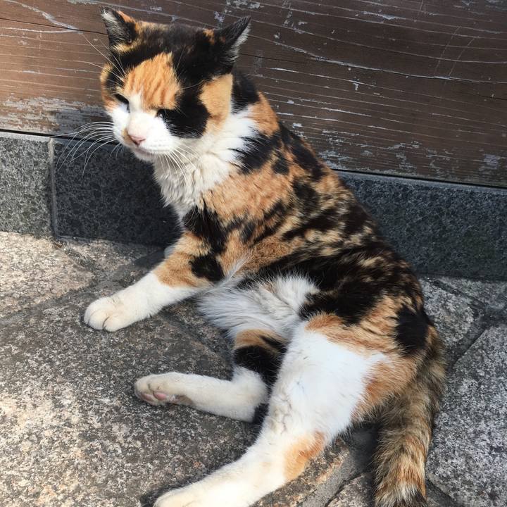 B889263a 8eab 4db3 91e1 5b439e4e9b09