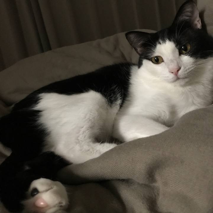 B8893034 a653 46c4 8617 779031164516