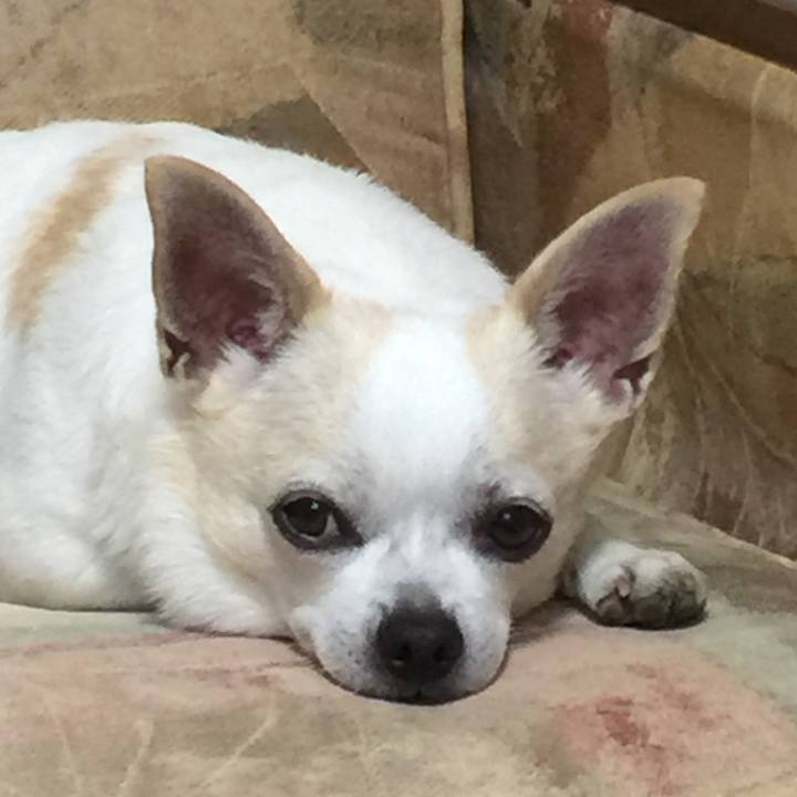 B889c185 5028 4890 b92c 2546b85cbbb9