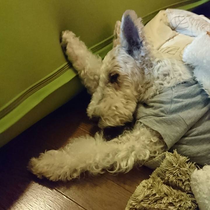 B88a54c5 6112 4282 a115 4a39c99ae420