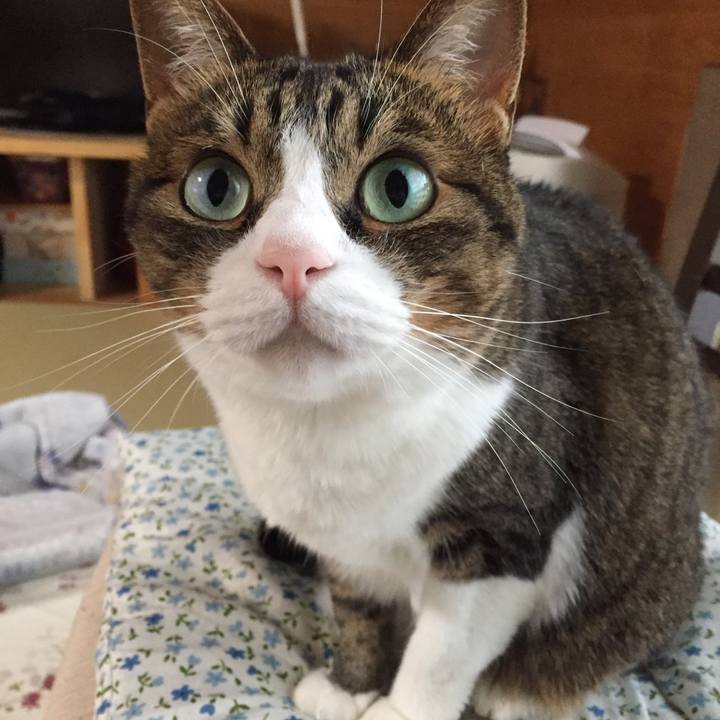 B88a708b 5b87 4482 90bc 6b16895fc8e7