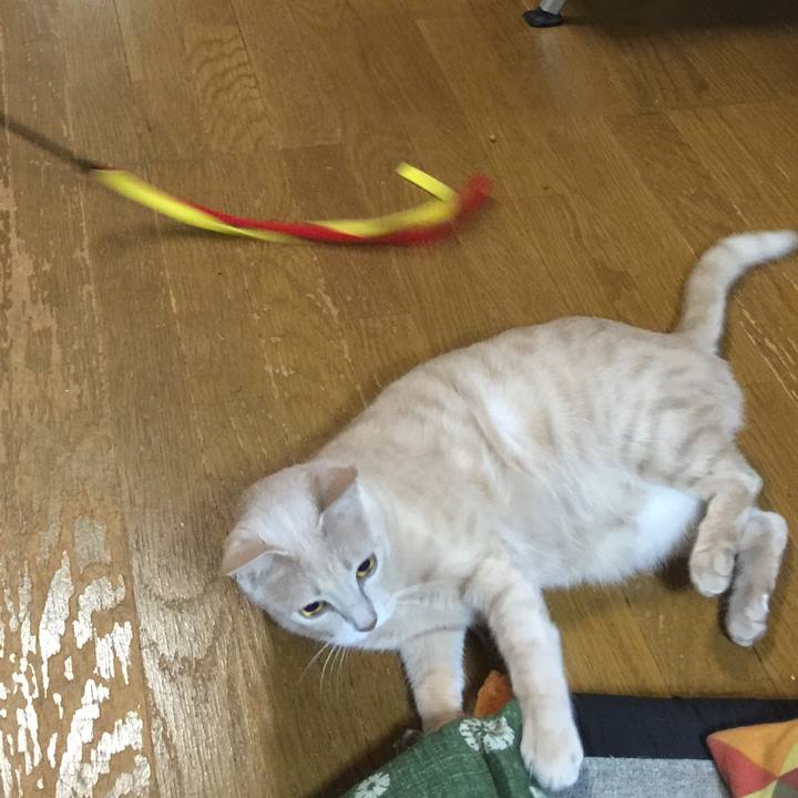 B88b4d2d ce44 4edc 9bed 7939bea0de49