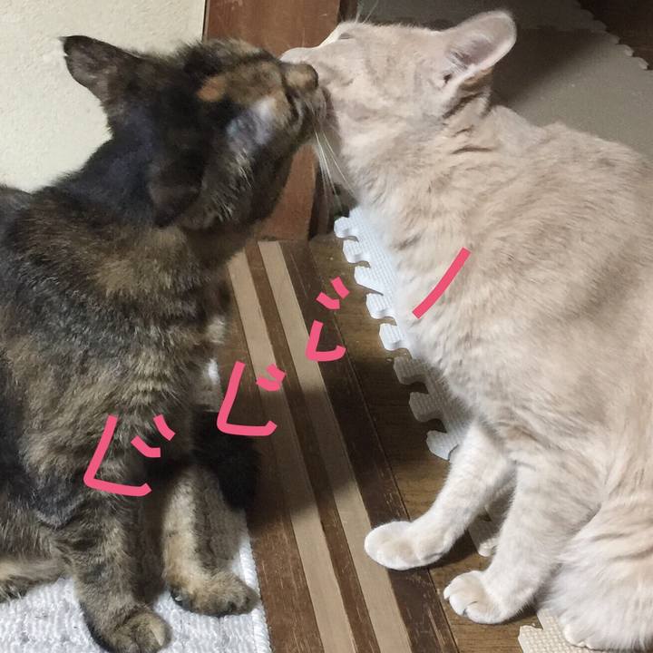 B88ca987 649c 4ffb a7fe e9fff4e840db