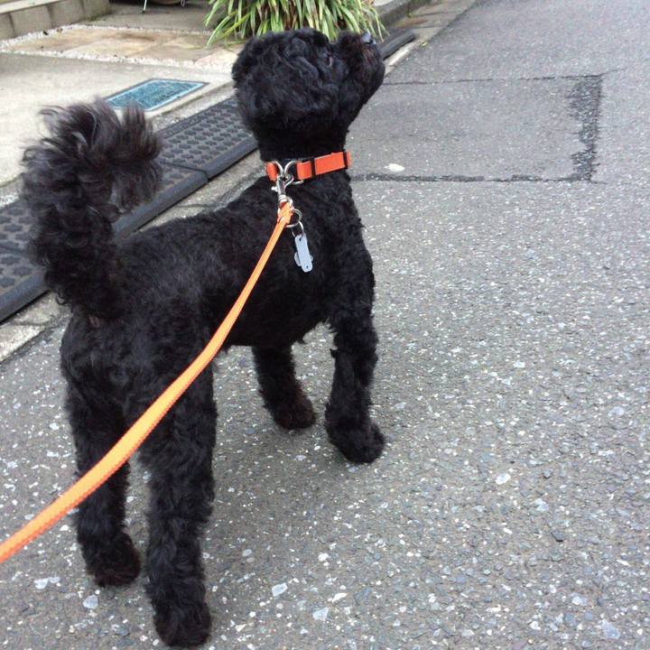 B88e11bc d4c8 4b5f a33b 2b526810afb4