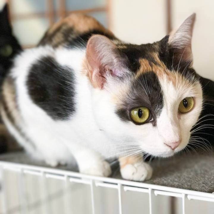 B88eb9d0 4538 48a8 bce3 5eaf7f26508c