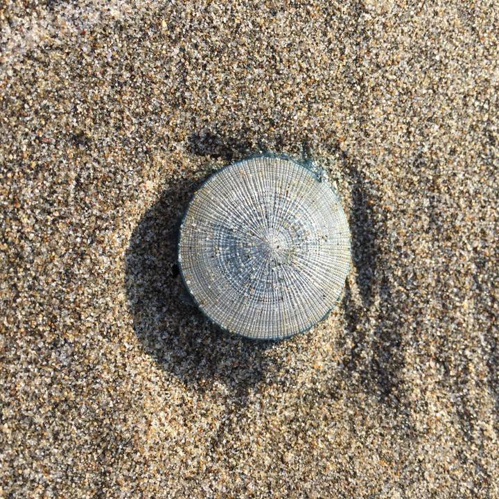 B88f3b0e c953 46cf ac01 16dc7e681809