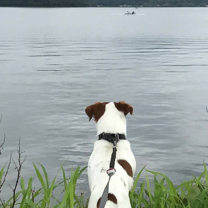 B8903d0e 6ed2 4267 b5ce 098b4aec7886