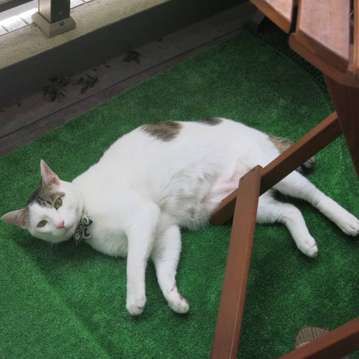 B890557d d136 468d 8f5f 8836284f9736