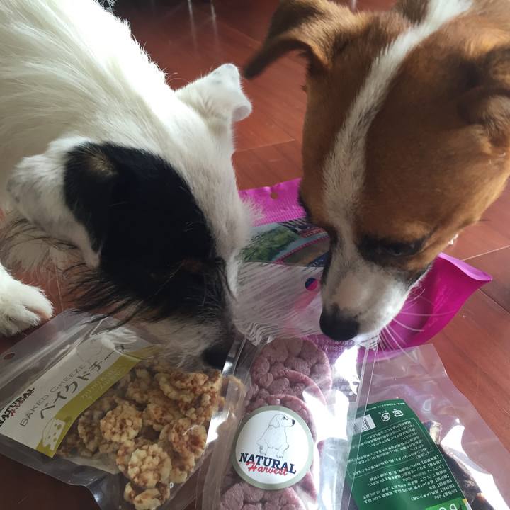 B8907319 7574 476e 947a 86806ca61422