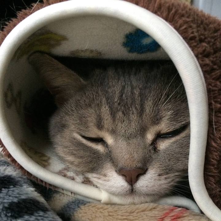 B890b50c 75a1 4fef a670 e3d40ef595c5