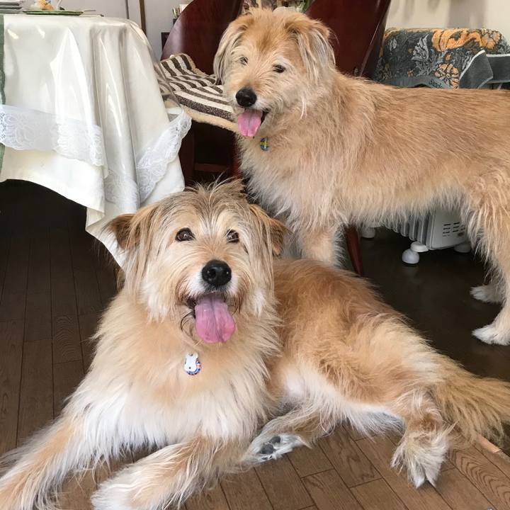 B891dbb7 0cfe 4067 99b5 dd7b29c52480