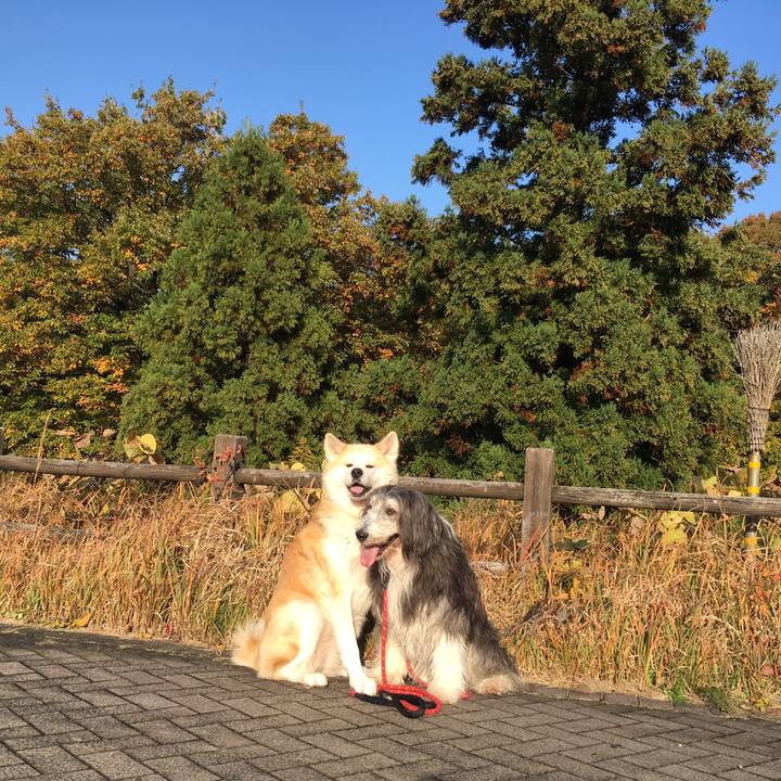 B8923ce9 2018 463f b23a 52a5a417263f