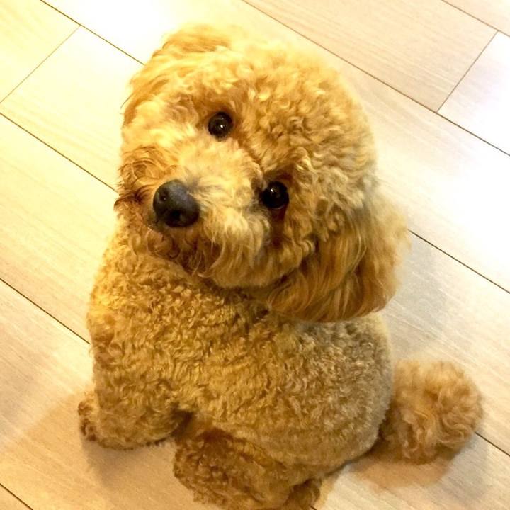 B89265cc e9dd 4155 bedc 2fa393b3874c