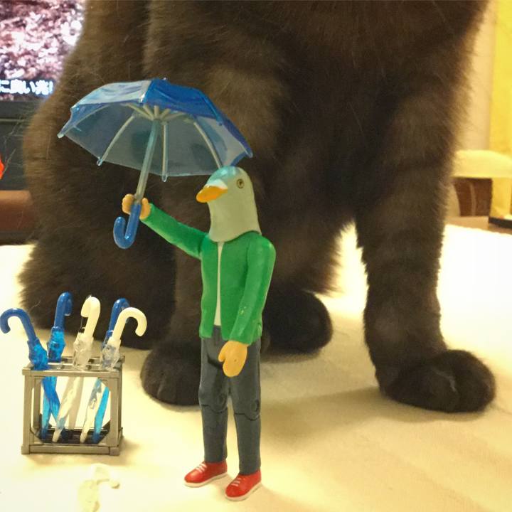 B8928191 f09b 4611 af50 c6d08cbd605a