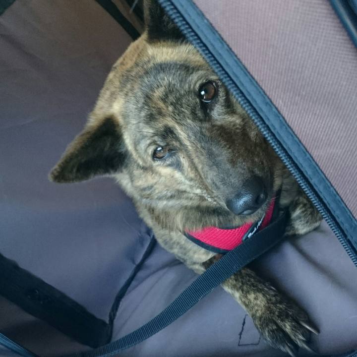 B89415e1 0541 45d5 85ba 4ea589e7dd67