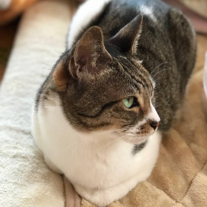 B8943a98 49a0 4bcb bc7b b9792e563b62