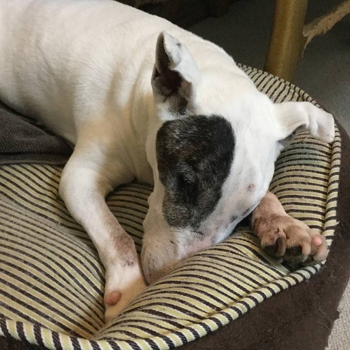 B89453a9 8c62 4fa0 85d0 7dac9bb4c4bf