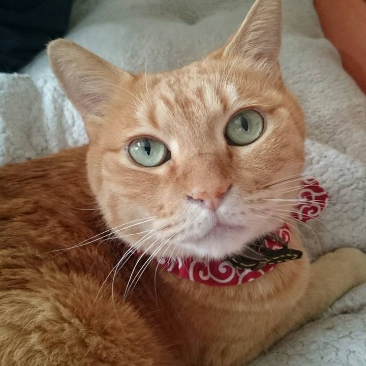 B894bd6b 2320 45c9 8067 cb65b108f3b6