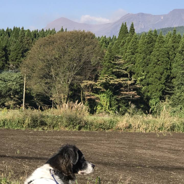 B894d80f 3f8d 43af a302 1c93621bd0d8