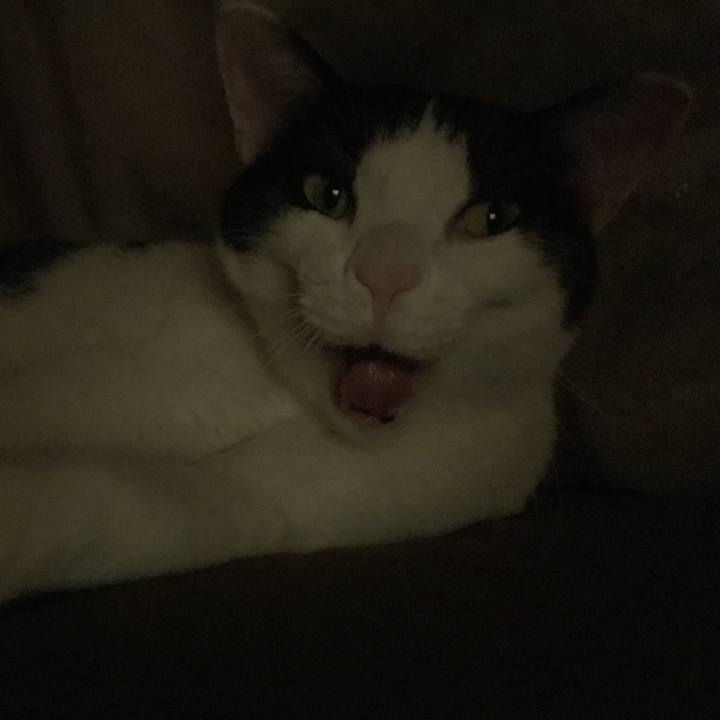 B894f501 5232 4349 af15 3ceca16a2d1e