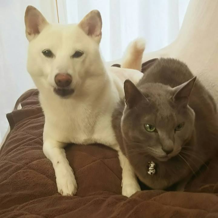 B895167c 338c 470b 81c5 a8071b3939c7