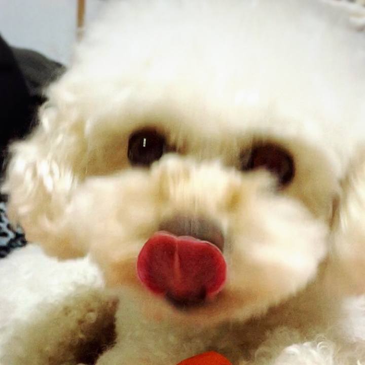 B8953fc3 0845 438e a1d0 e249c59c4edf