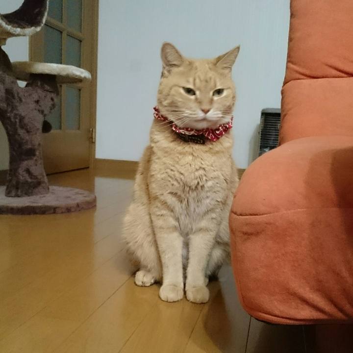 B89581d6 4f6d 4fdc 9224 b821e3296aac