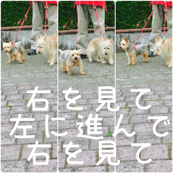 B895b0b4 300d 487b b1a2 89840d235971