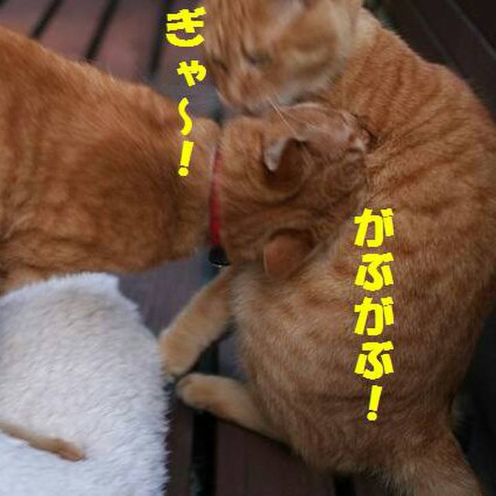 B896740d 6a9e 44fa 93a0 b2dae6edffaf