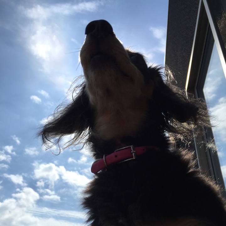 B896d8f7 e331 424e 8fb0 cbe271bd586b