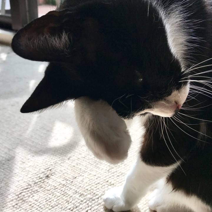 B8971fa5 b6b3 4f88 bac5 b9b3a9b6c839