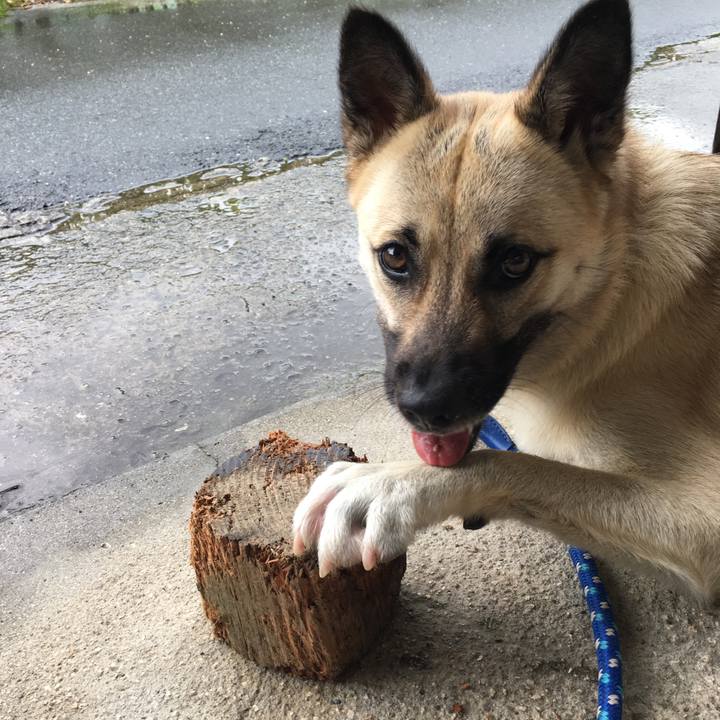 B8975e02 2ee8 403b b524 0a72a3c869b8