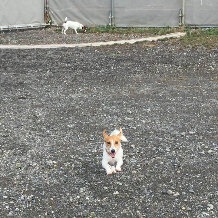 B897a8ba aa65 4716 9958 d83b88286961