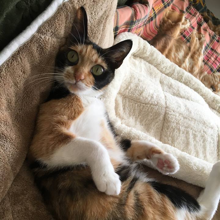 B897f83a 2b36 4959 b84e 21c9f17ddede