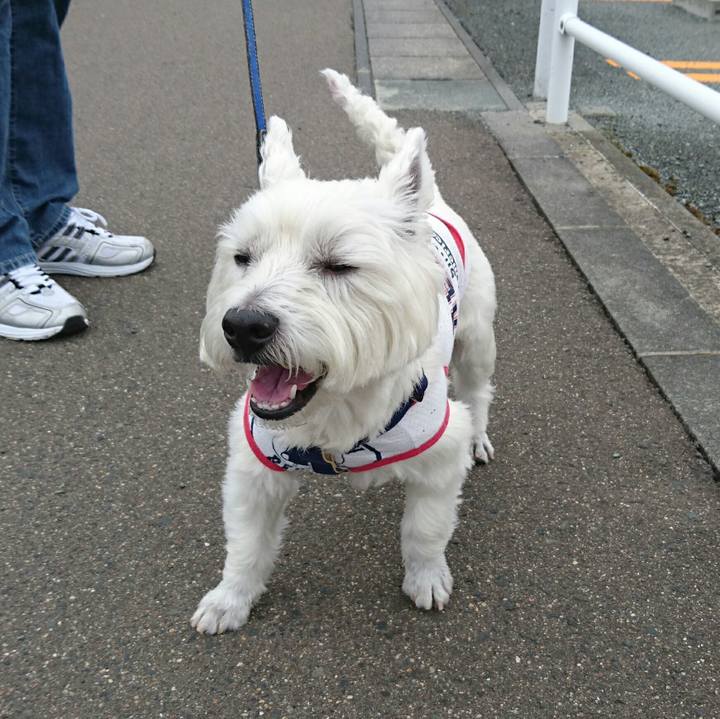 B89815d8 3b86 4180 8fd6 998b9089b54c